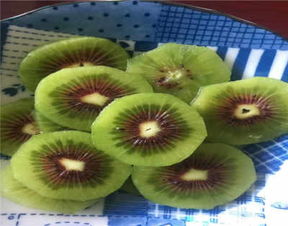 山東濱州無花果樹苗 新聞 品種